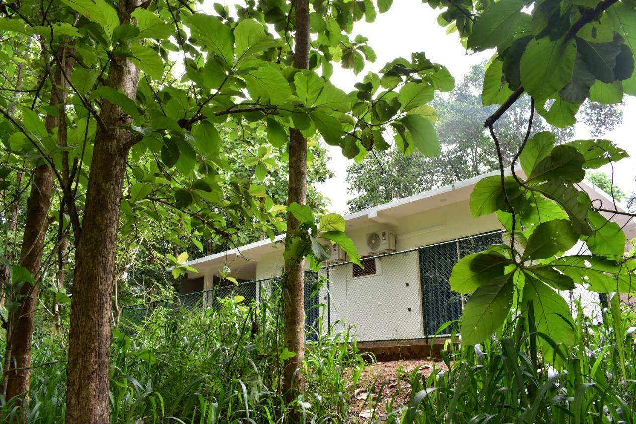 Forest Edge Safari Villa Udawalawe Exterior photo